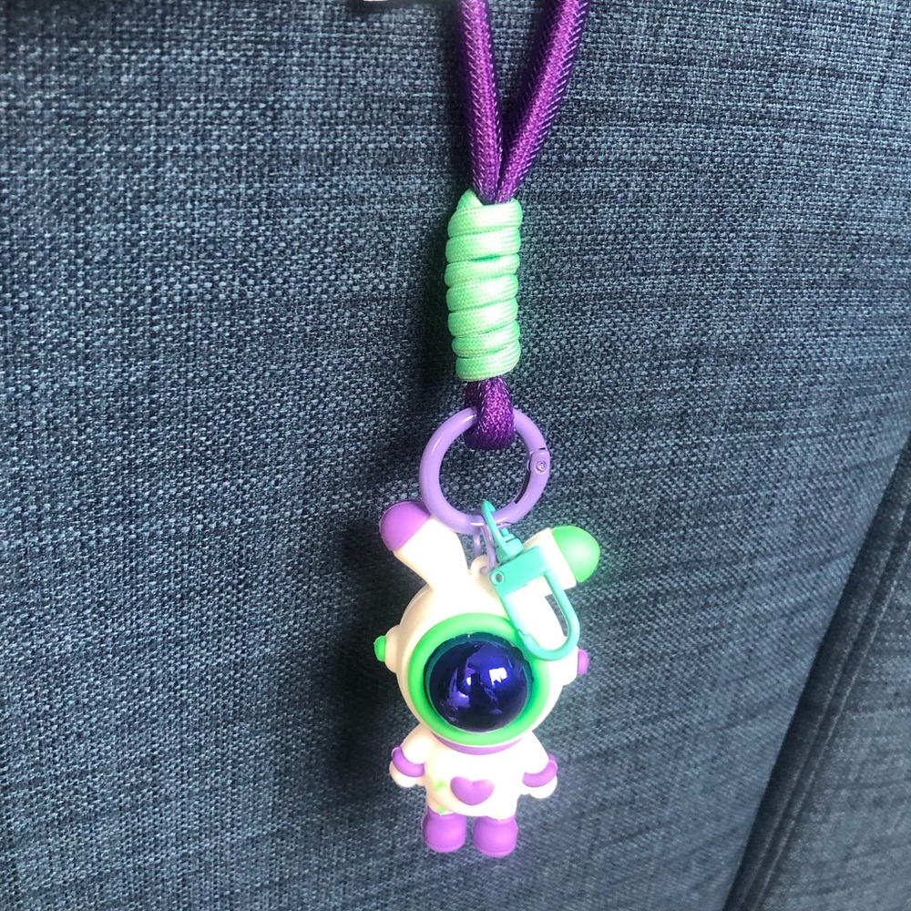 Adorable Keychain/Key holder